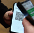Госдума не будет рассматривать законопроект о введении QR-кодов в самолетах и поездах - Okha65.Ru
