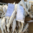 О низких ценах на рыбу в Охе можно узнать в приложении - Газета Сахалинский нефтяник