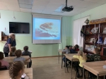 Космос