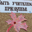 Люди немеркнущей профессии - Охинская ЦБС