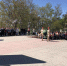 22 июня прошел митинг, посвященный началу Великой Отечественной войны - Управление по культуре, спорту и делам молодежи