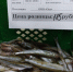 В Охинском районе продолжается реализация свежевыловленной рыбы по сниженным ценам - Okha65.Ru