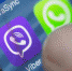"Проголосуй за племяшку": мошенники массово атакуют пользователей WhatsApp - Okha65.Ru