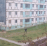"Просто накипело": жительница Охи трижды за сутки стала свидетельницей нападения собак на людей - Okha65.Ru
