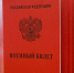 Рособрнадзор начнет собирать сведения об учащихся для воинского учета - Okha65.Ru