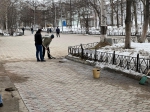 Все на субботник!