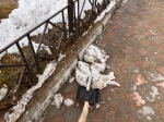Все на субботник!
