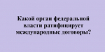 День Конституции, 7.jpg
