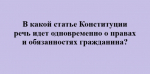 День Конституции, 9.jpg