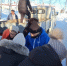 Рыбный день почти всю неделю был в Охе, Москальво и Тунгоре - Газета Сахалинский нефтяник