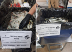 Вдогонку корюшке – доступные сельдь и навага в двух охинских магазинах