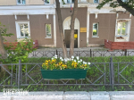 Охинцы присылают в редакцию фотографии городских клумб – любуются