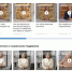 Льготы, выплаты, переобучение, карьера – где найти видео по важным темам охинскому участнику СВО? - Газета Сахалинский нефтяник