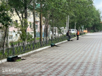 Осатанелый вандализм. Неизвестные разорили цветники на улице Ленина