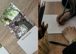 collage (97).jpg