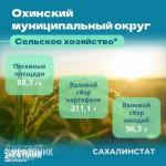 Что наказал губернаторам президент России?