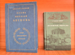 Очарованный Россией
