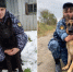 В паре с четвероногими помощниками: рассказ начальника охинской кинологической службы - Газета Сахалинский нефтяник