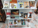 Эти заМУРчательные кошки